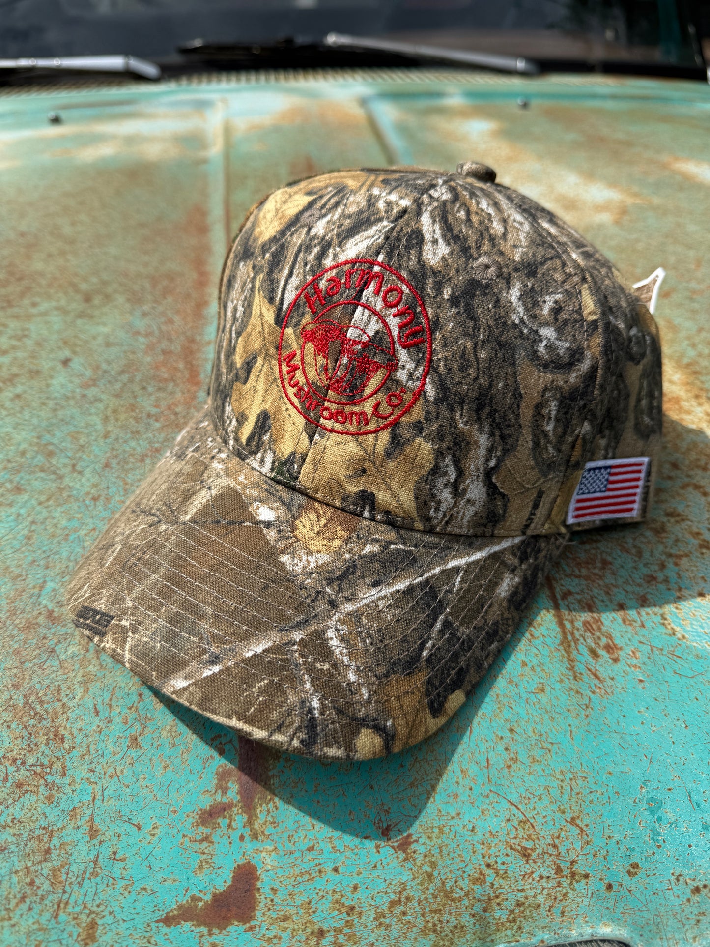 Harmony Realtree Camo Hat