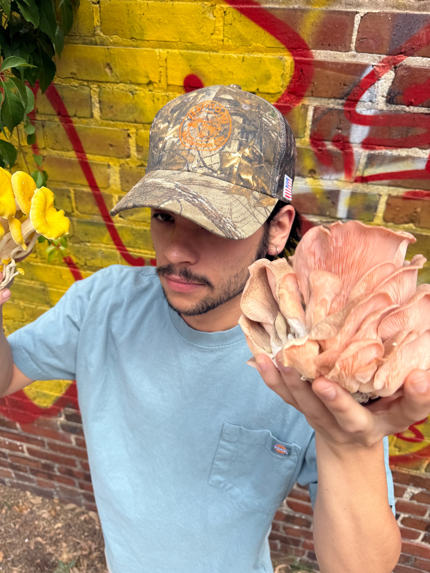 Harmony Realtree Camo Hat
