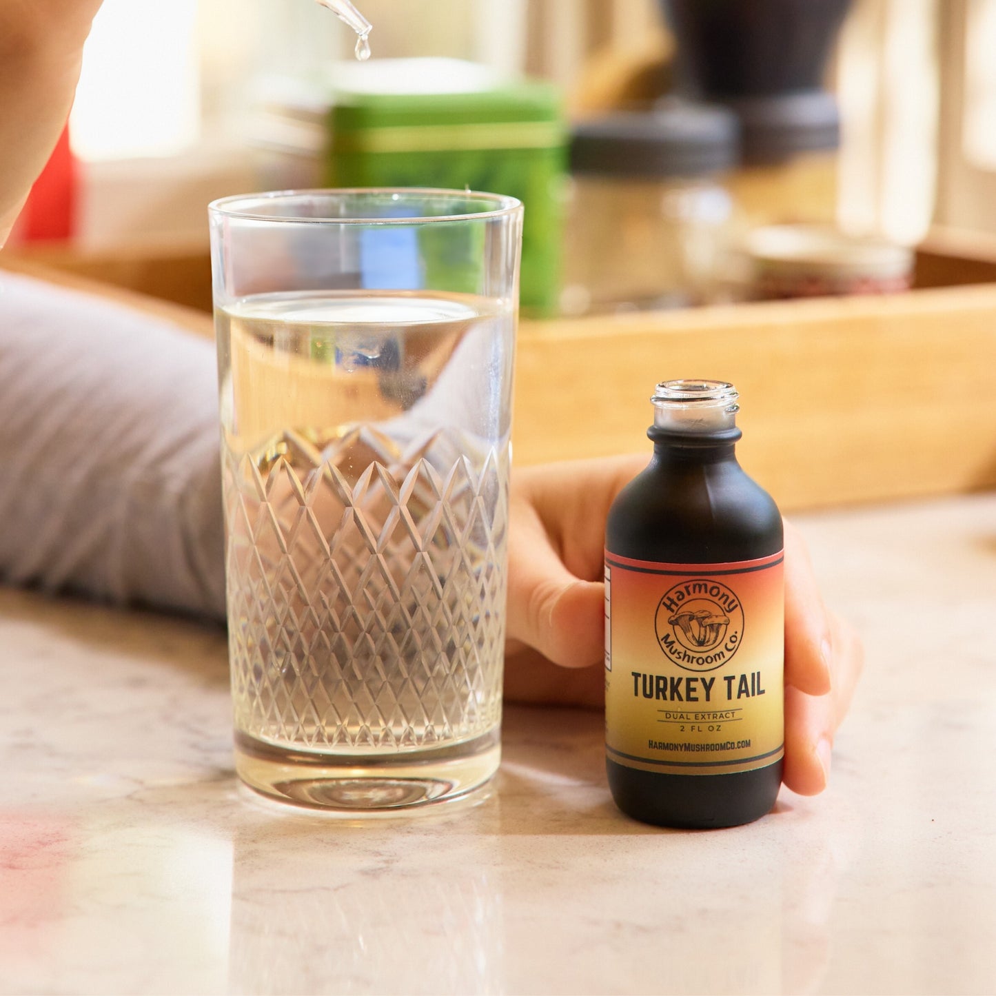 Turkey Tail Dual Extract