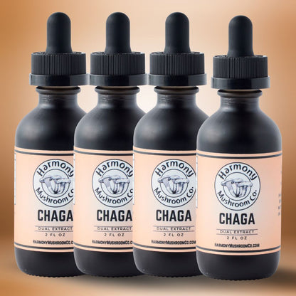 Chaga Dual Extract