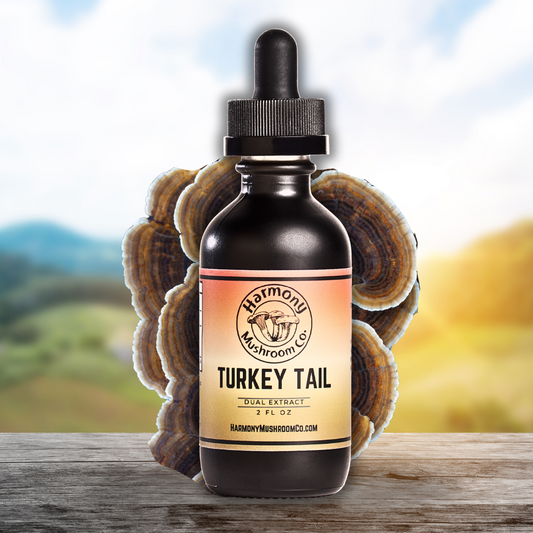 Turkey Tail Dual Extract