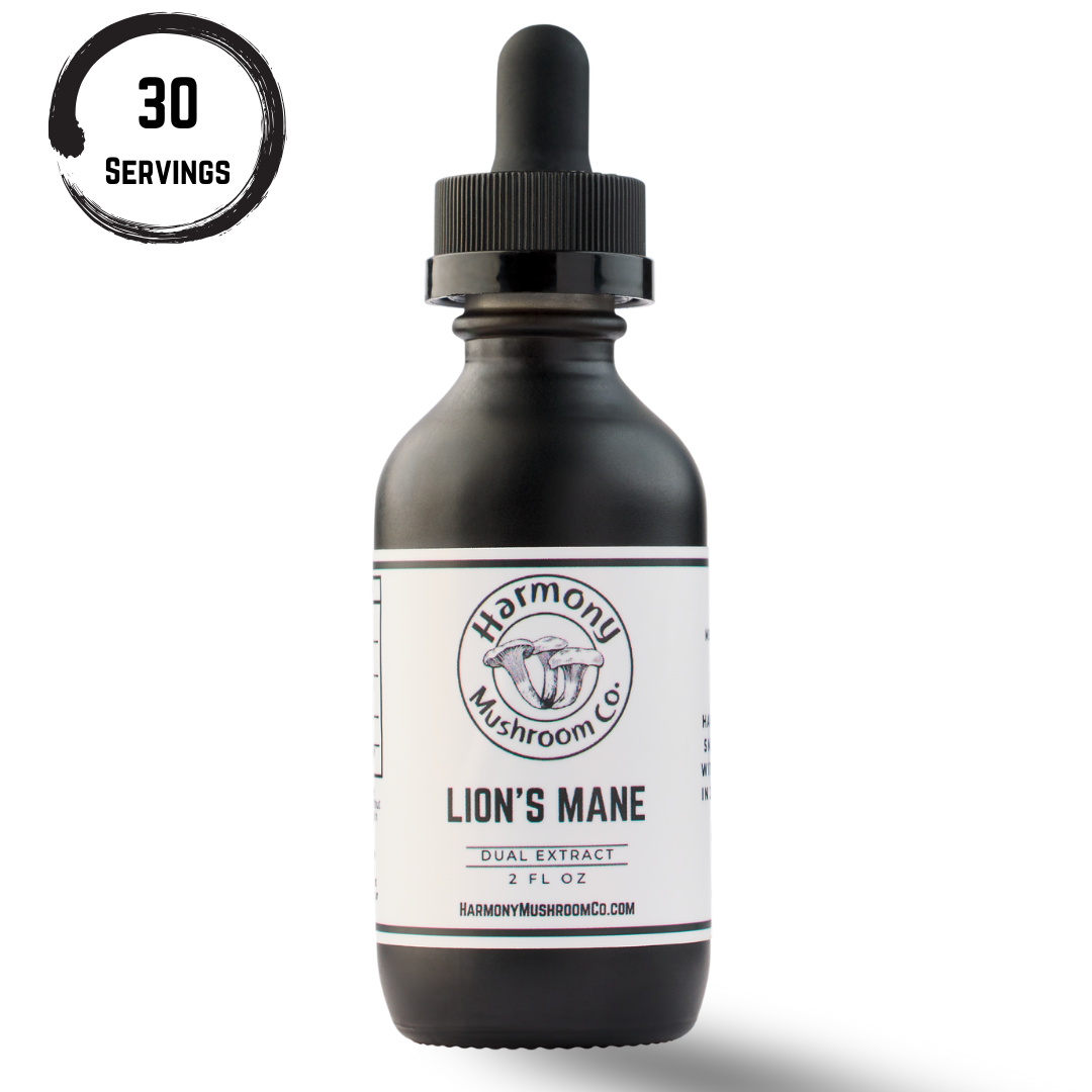 Lion's Mane Dual Extract