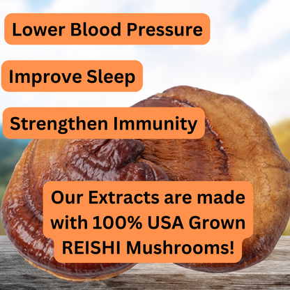 Reishi Dual Extract