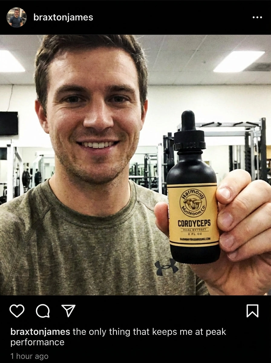 Cordyceps Dual Extract