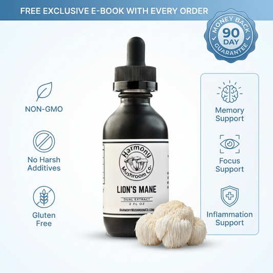 Lion's Mane Dual Extract