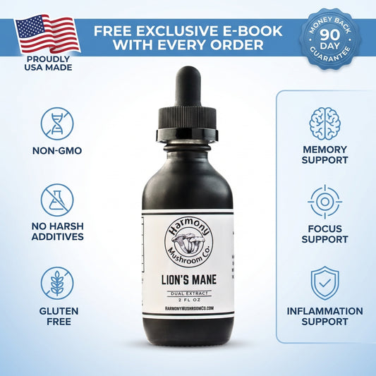 Lion's Mane Dual Extract