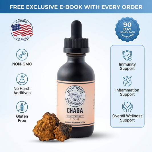 Chaga Dual Extract
