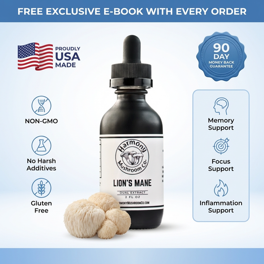 Lion's Mane Dual Extract