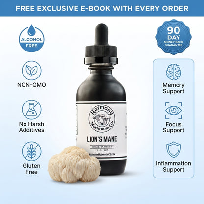 Lion's Mane Dual Extract (ALCOHOL FREE)