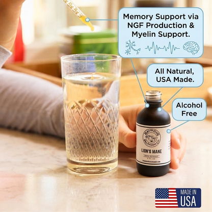Lion's Mane Dual Extract (ALCOHOL FREE)