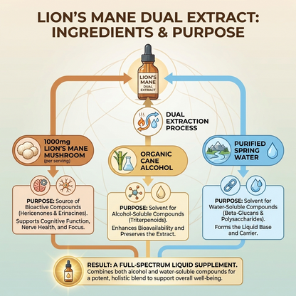 Lion's Mane Dual Extract
