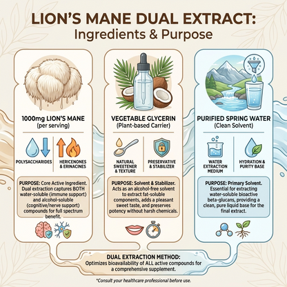 Lion's Mane Dual Extract (ALCOHOL FREE)